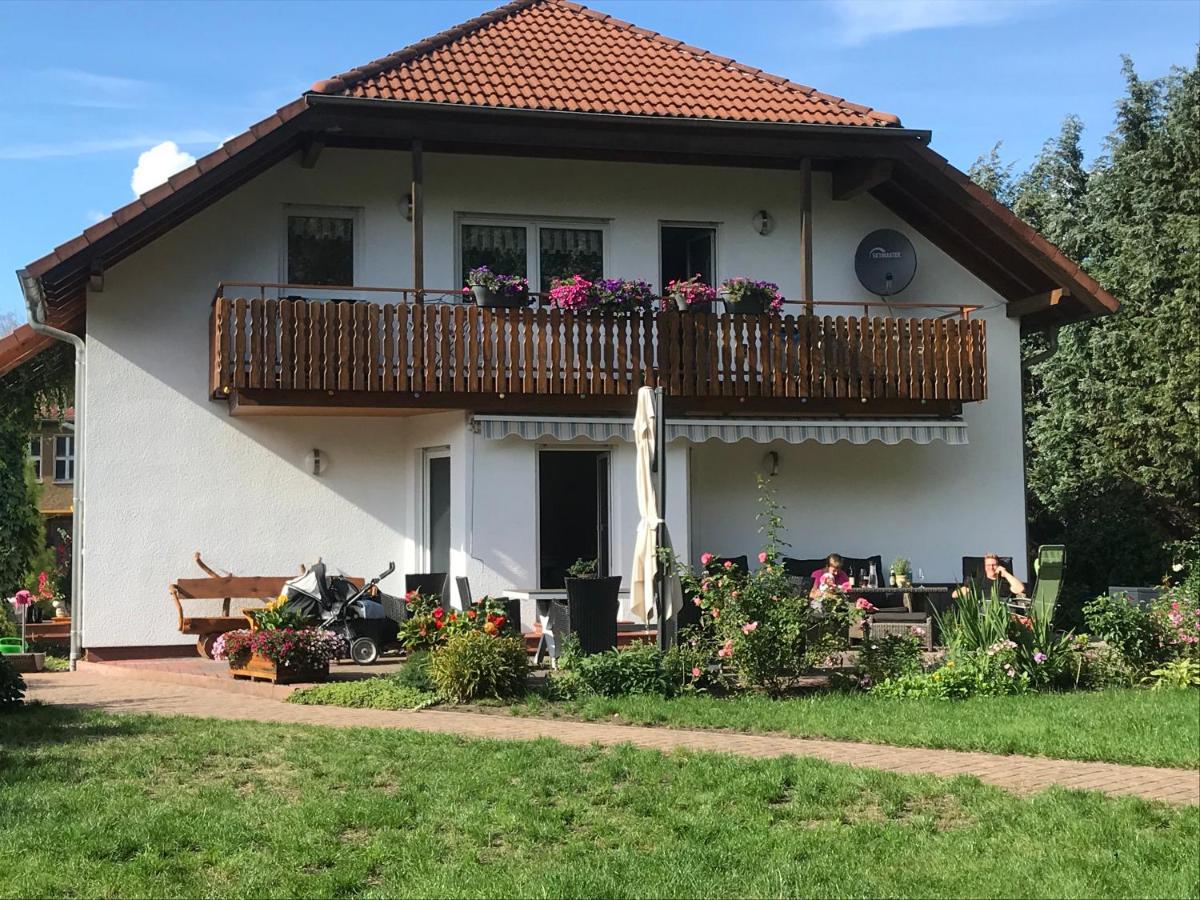 Grosszuegige Ferienwohnung Am Waldesrand Im Seenland Lauta Exterior foto