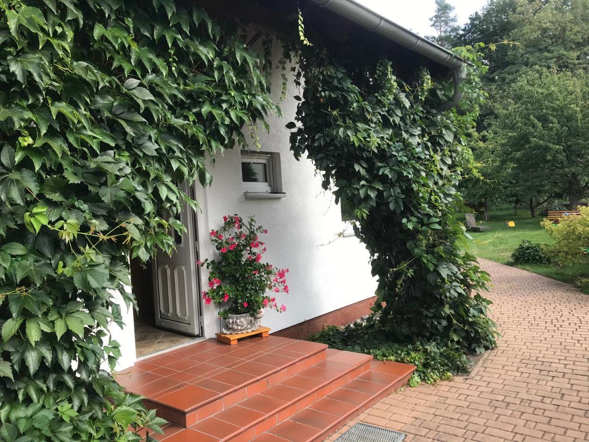 Grosszuegige Ferienwohnung Am Waldesrand Im Seenland Lauta Exterior foto
